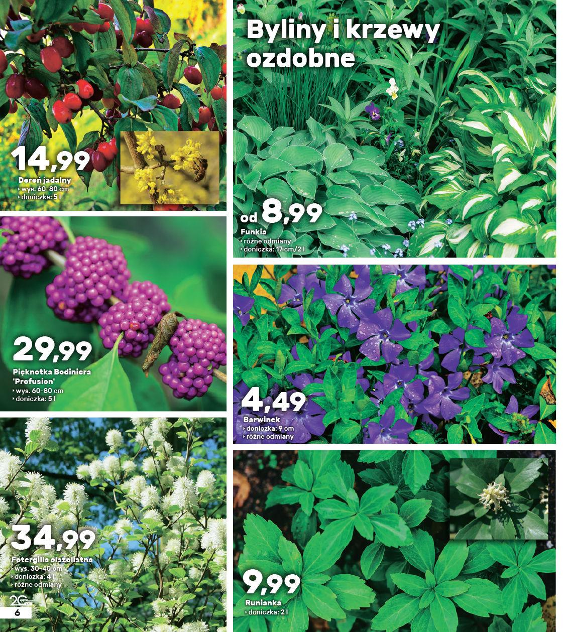 Gazetka promocyjna Bricomarche str. 6