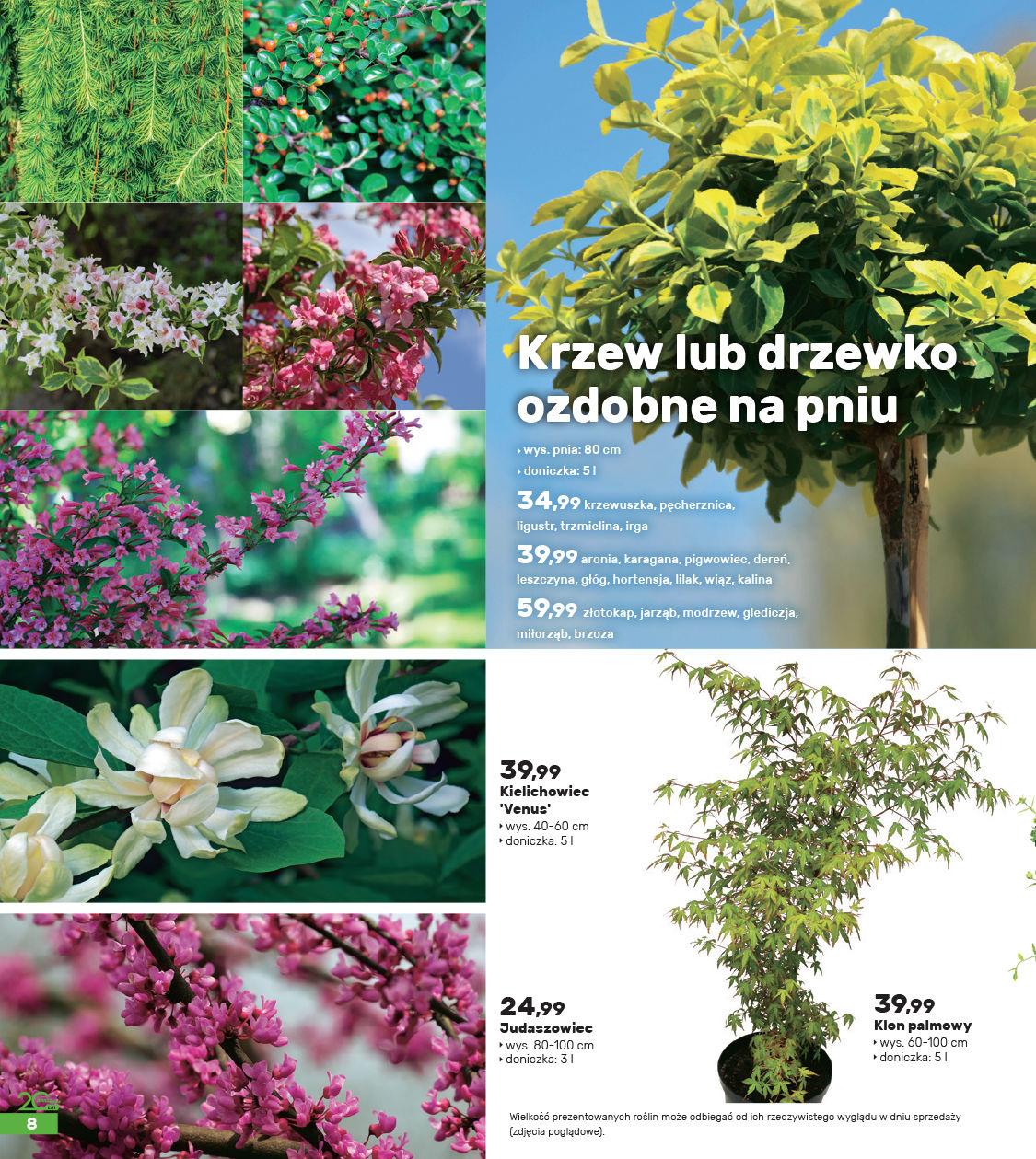 Gazetka promocyjna Bricomarche str. 8