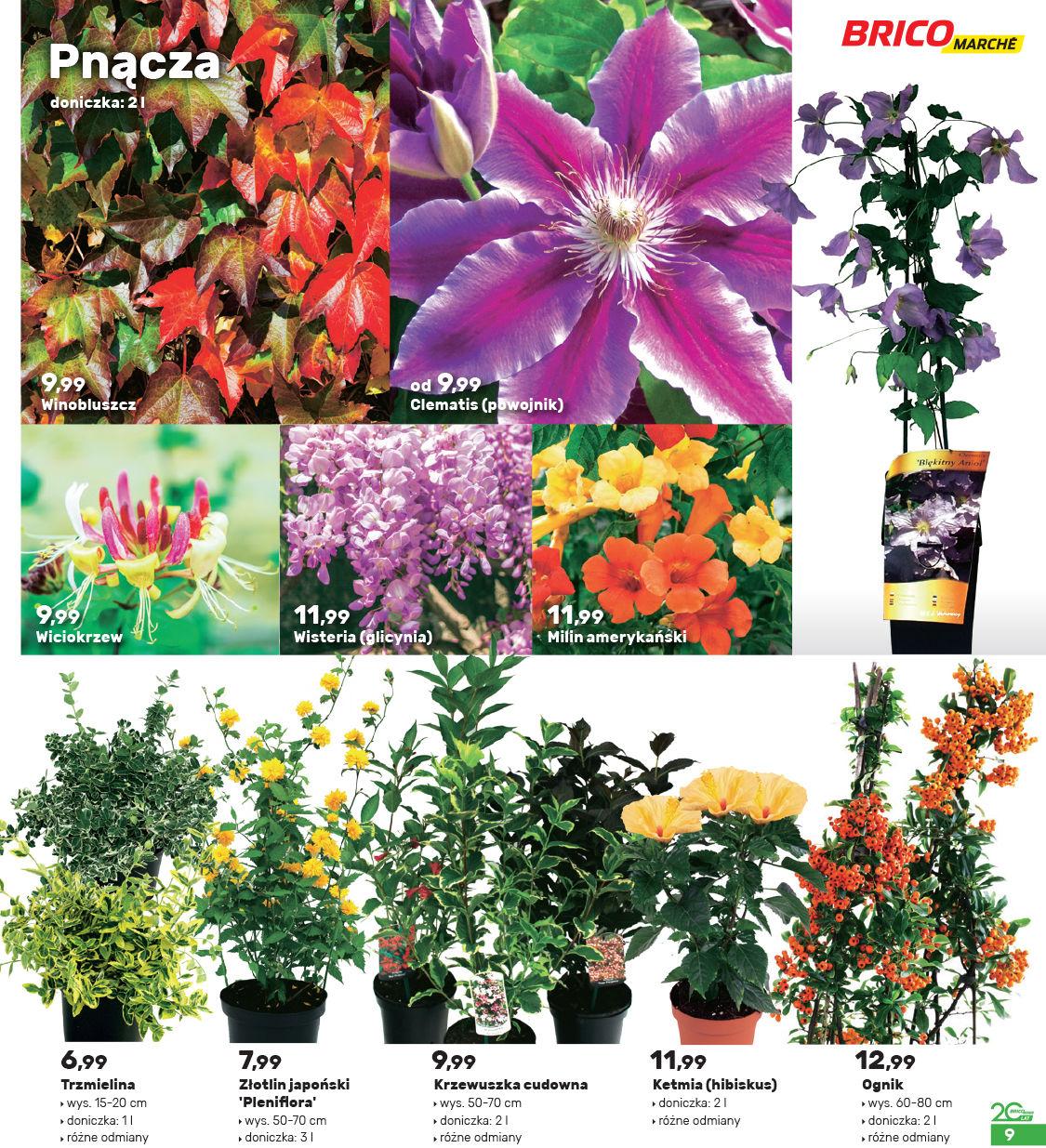Gazetka promocyjna Bricomarche str. 9