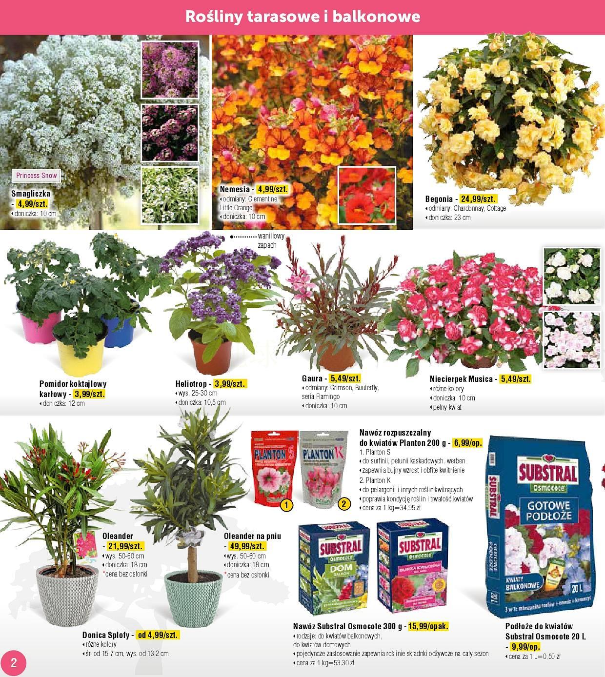 Gazetka promocyjna Bricomarche str. 2