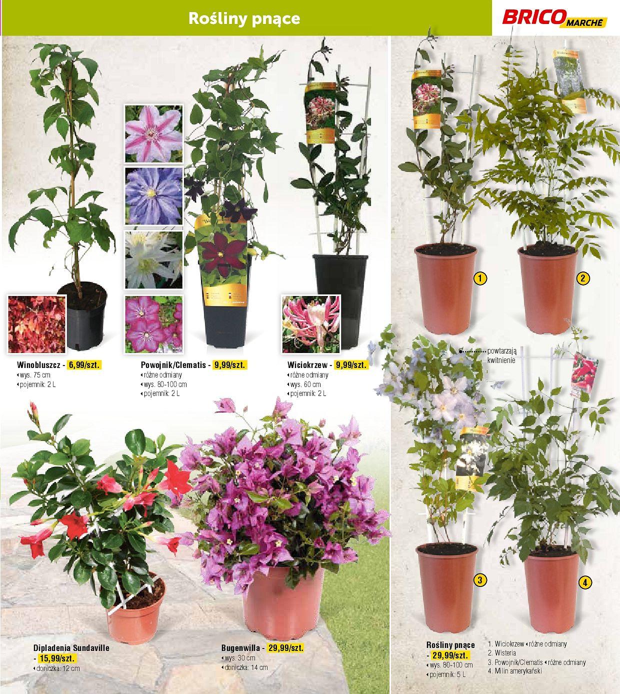 Gazetka promocyjna Bricomarche str. 5