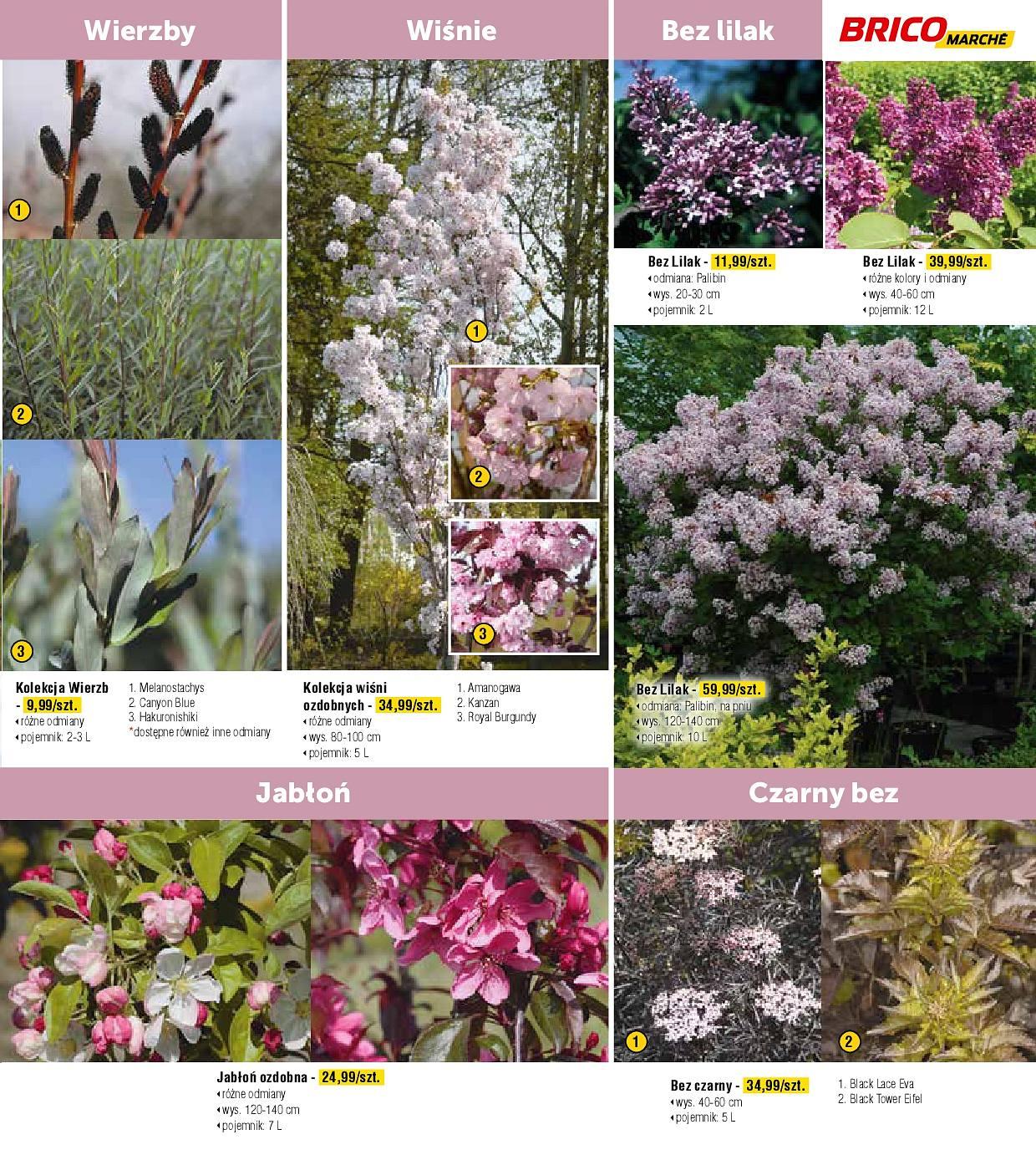 Gazetka promocyjna Bricomarche str. 7