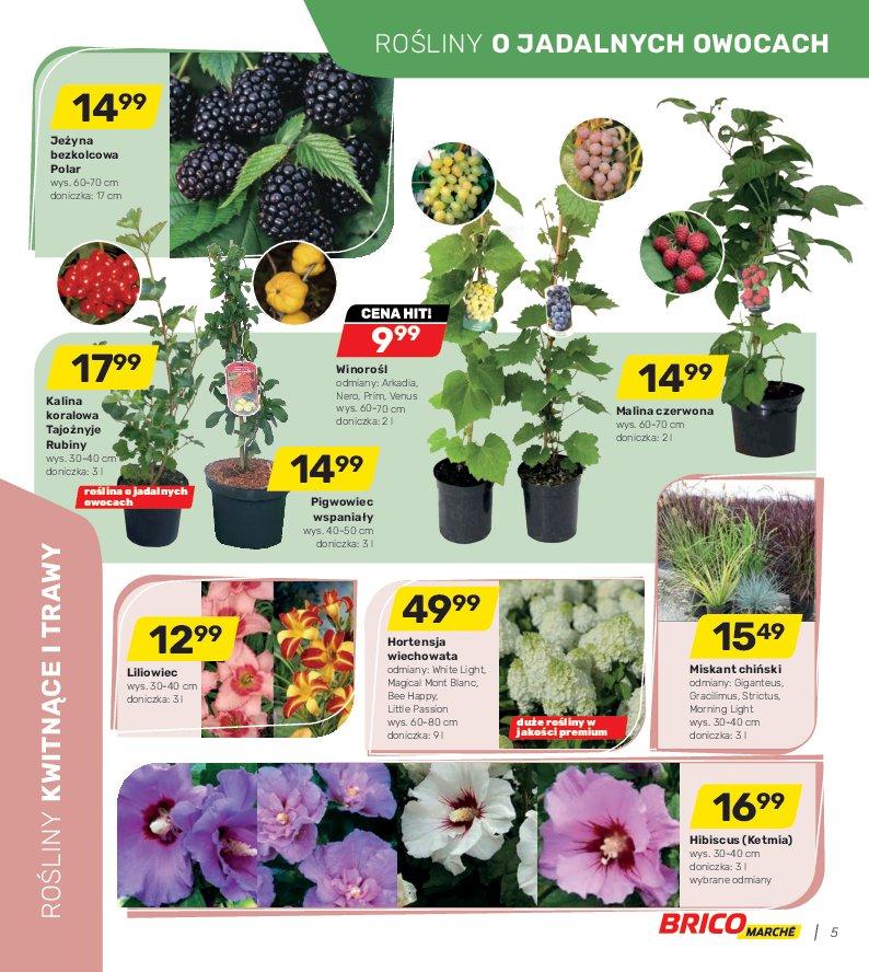 Gazetka promocyjna Bricomarche str. 5