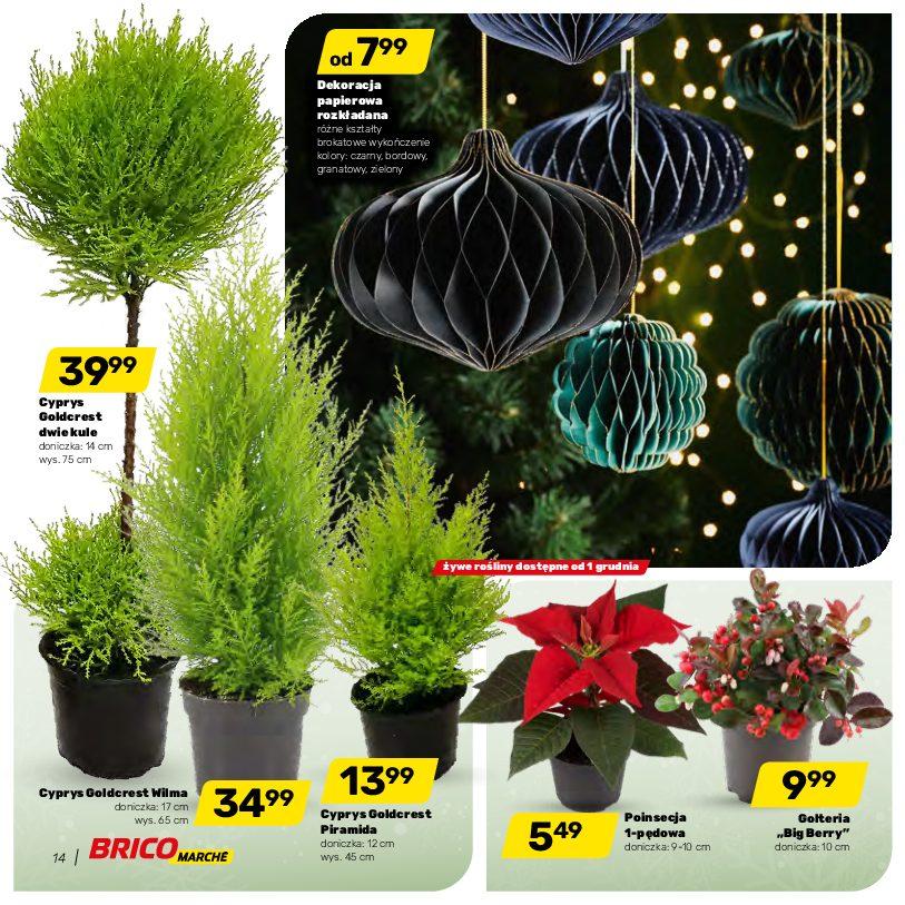 Gazetka promocyjna Bricomarche str. 14