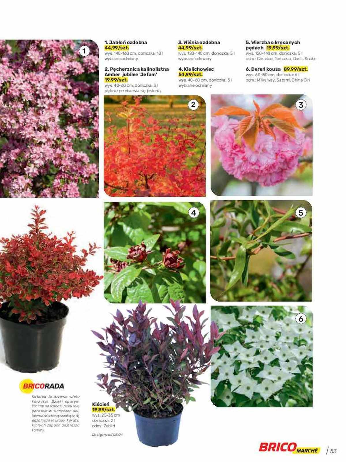 Gazetka promocyjna Bricomarche str. 53