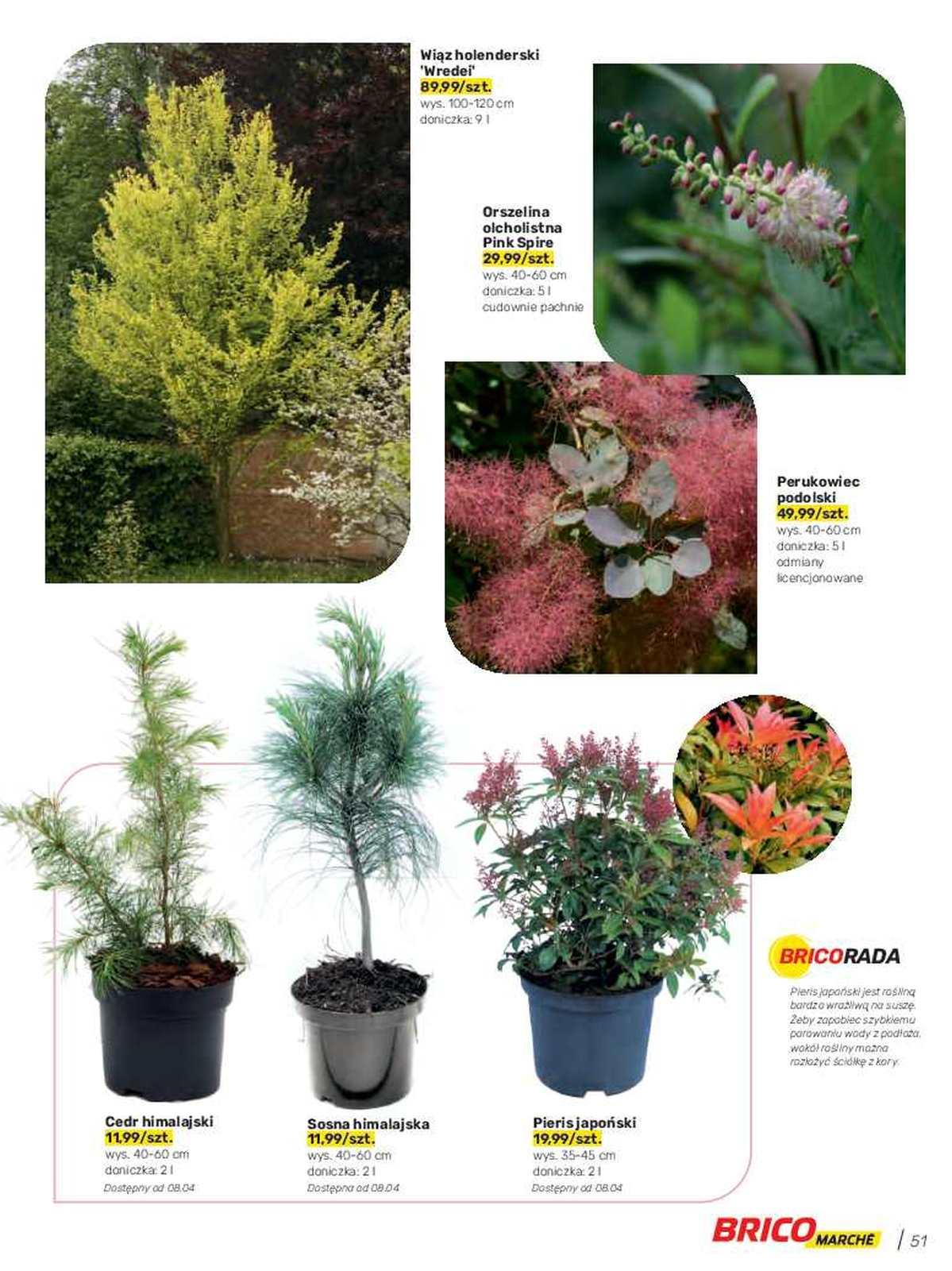 Gazetka promocyjna Bricomarche str. 51
