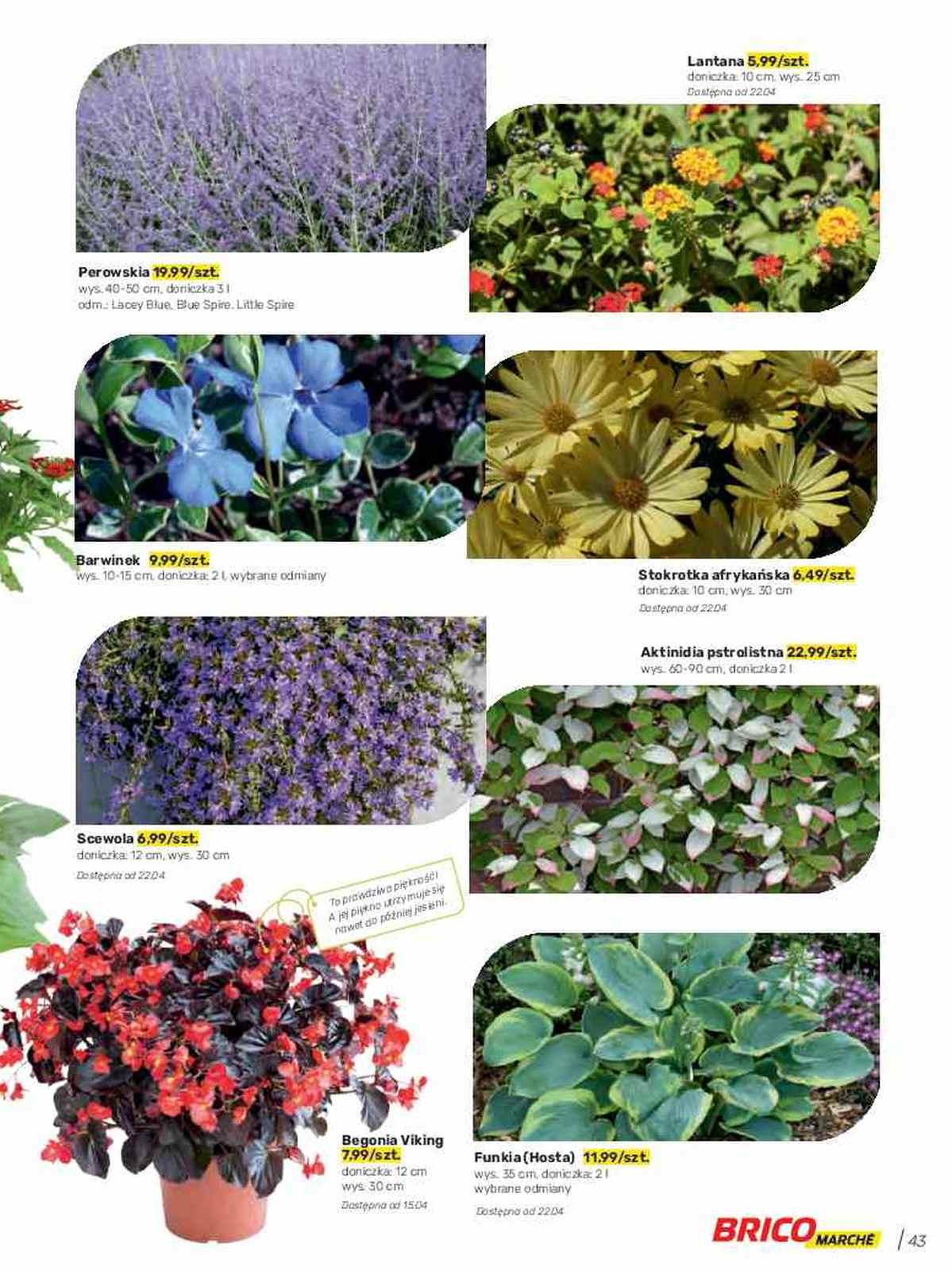 Gazetka promocyjna Bricomarche str. 43