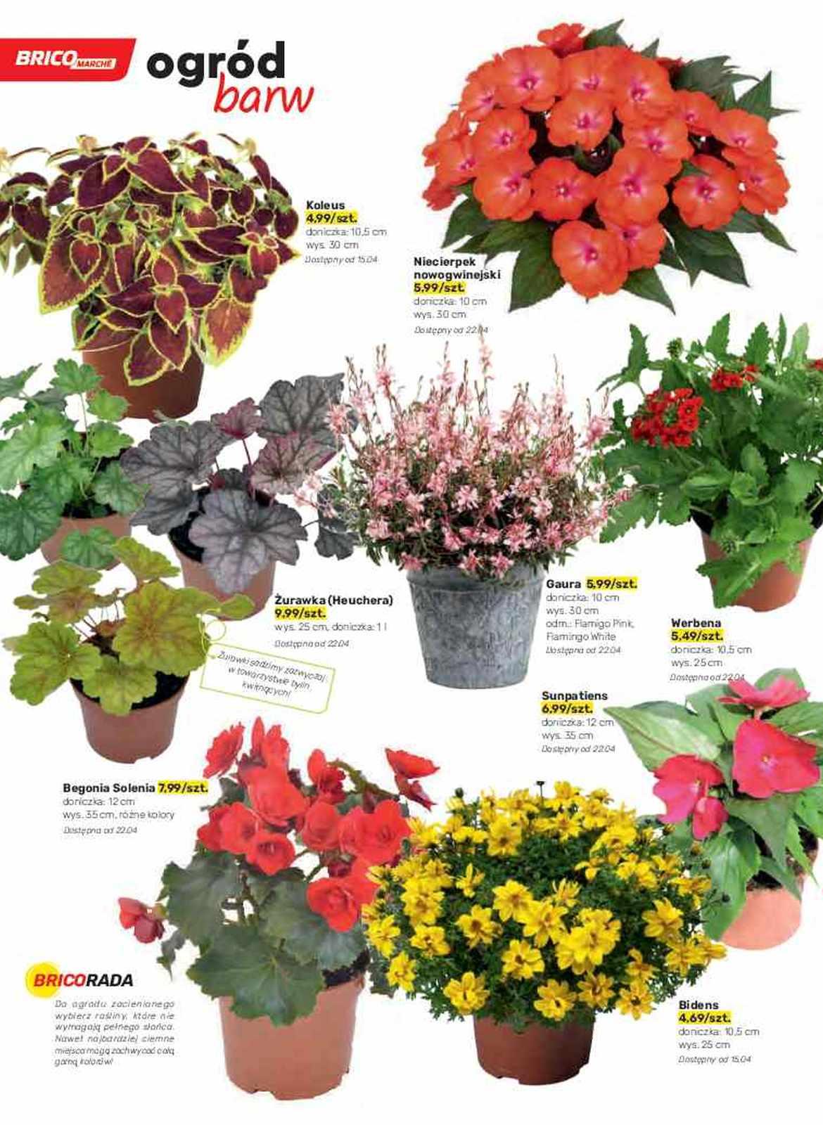 Gazetka promocyjna Bricomarche str. 42