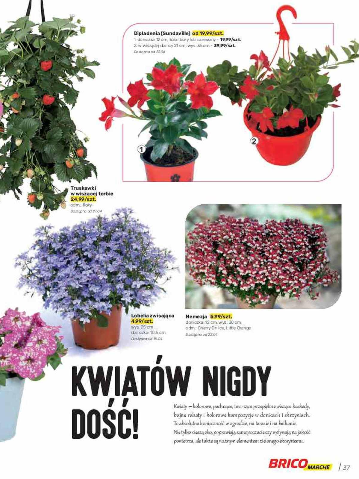 Gazetka promocyjna Bricomarche str. 37