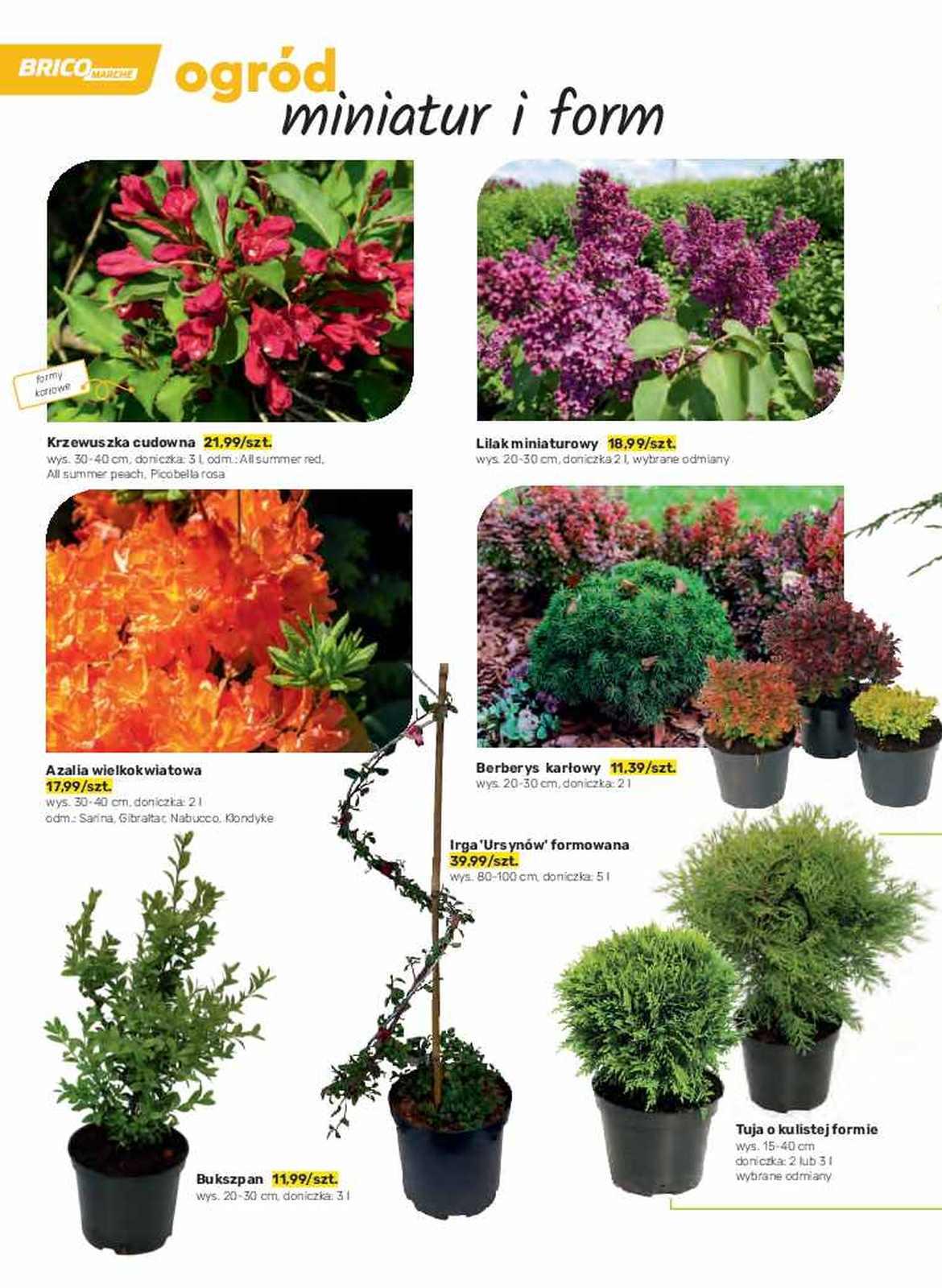 Gazetka promocyjna Bricomarche str. 46