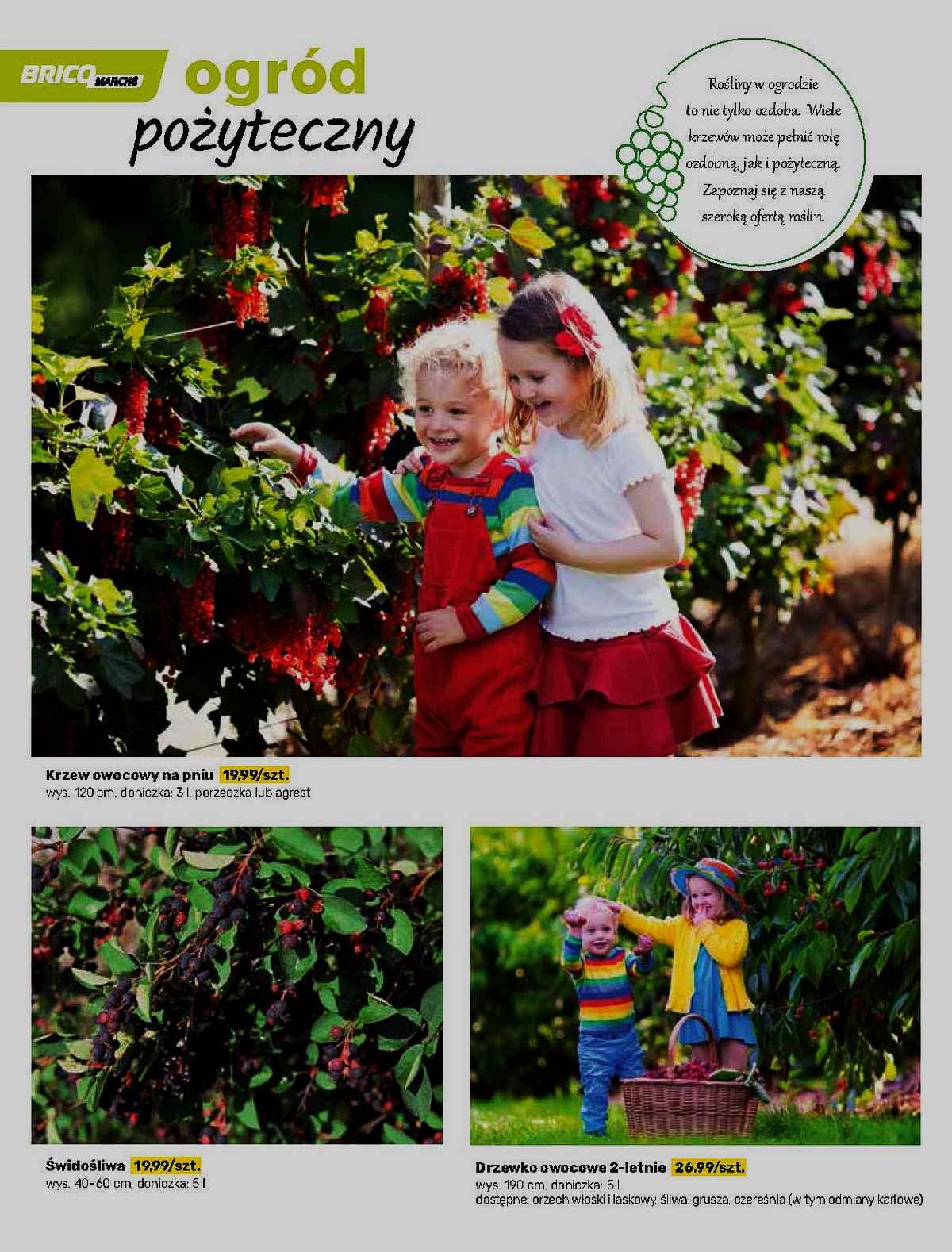 Gazetka promocyjna Bricomarche str. 50