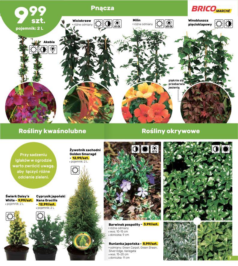 Gazetka promocyjna Bricomarche str. 7