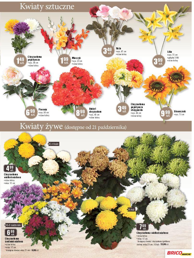 Gazetka promocyjna Bricomarche str. 7