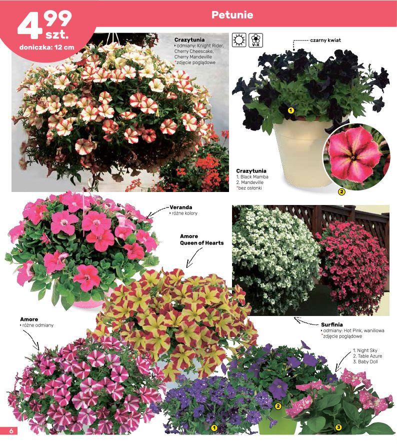 Gazetka promocyjna Bricomarche str. 6