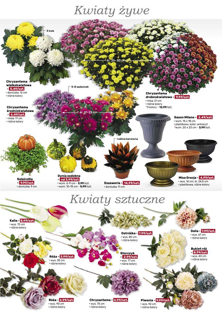 Gazetka promocyjna Bricomarche str. 7