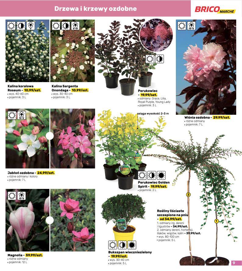 Gazetka promocyjna Bricomarche str. 9