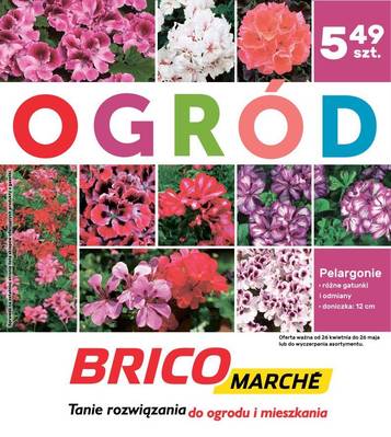 Katalog ogród