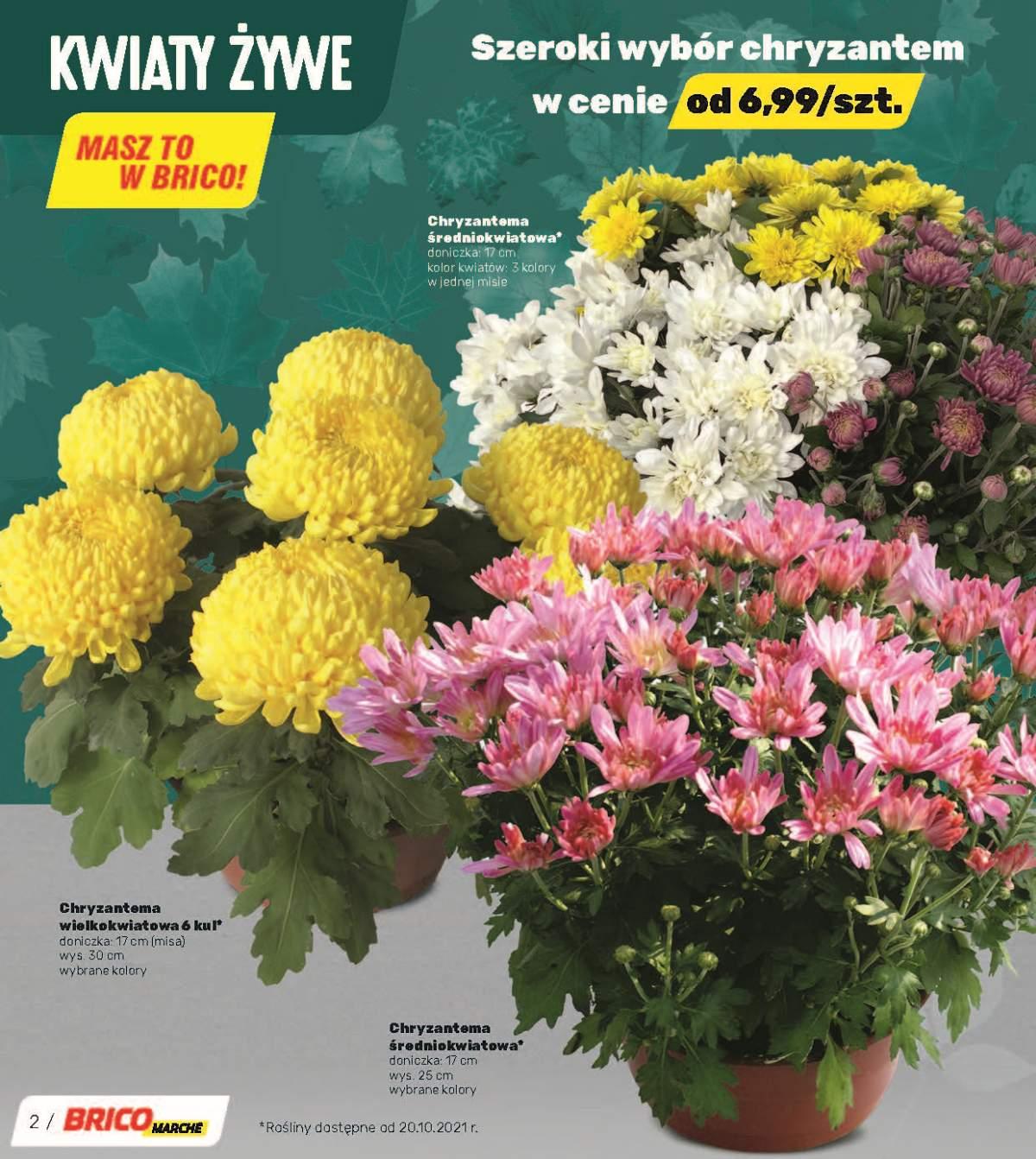 Gazetka promocyjna Bricomarche str. 2