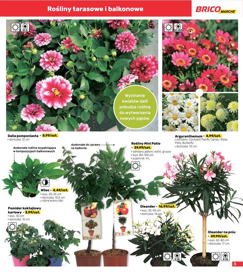 Gazetka promocyjna Bricomarche str. 3