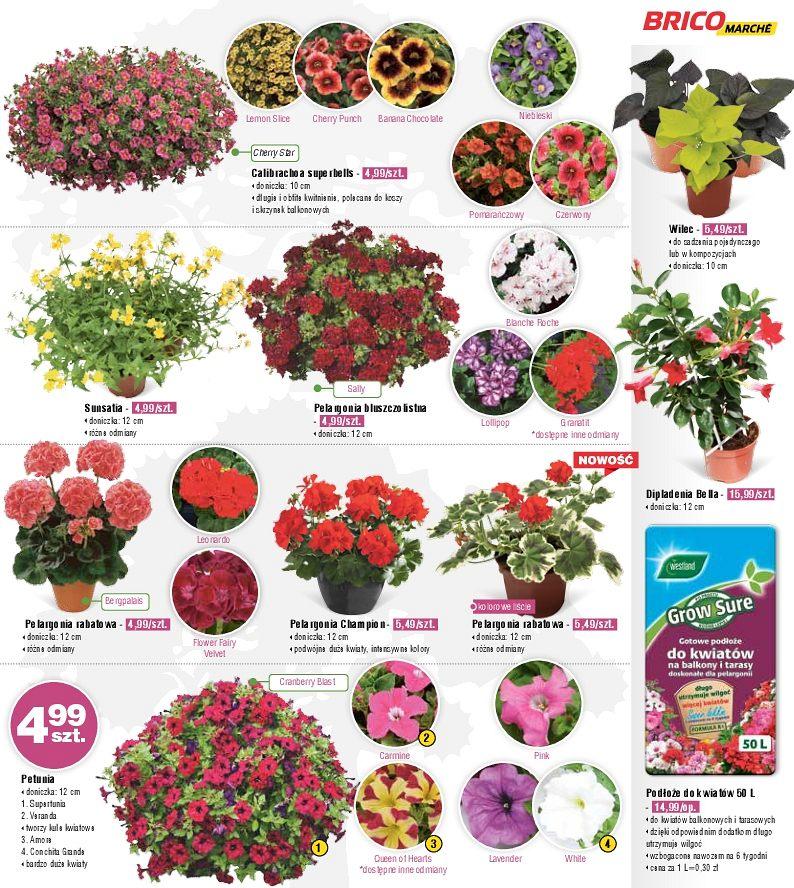 Gazetka promocyjna Bricomarche str. 9