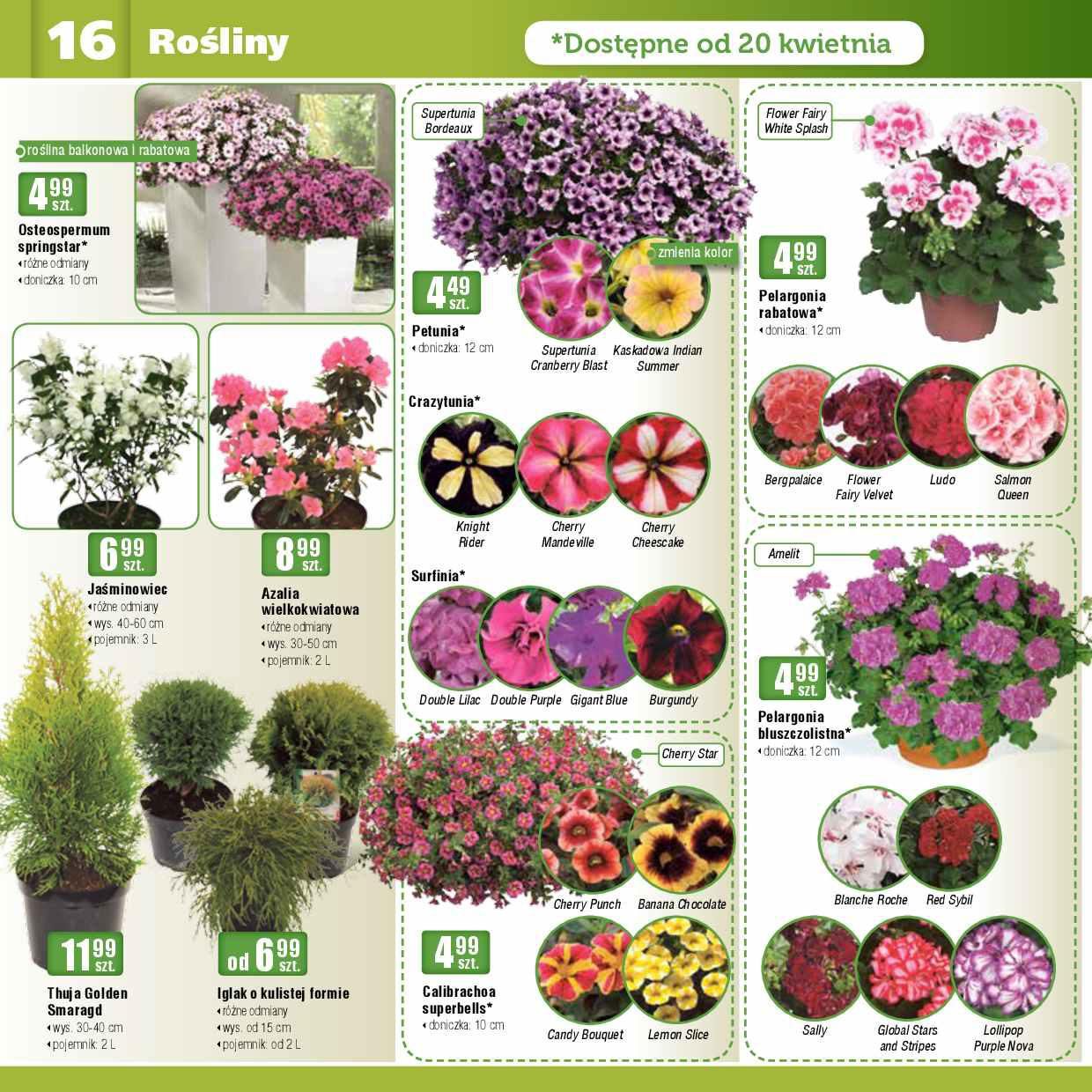 Gazetka promocyjna Bricomarche str. 16