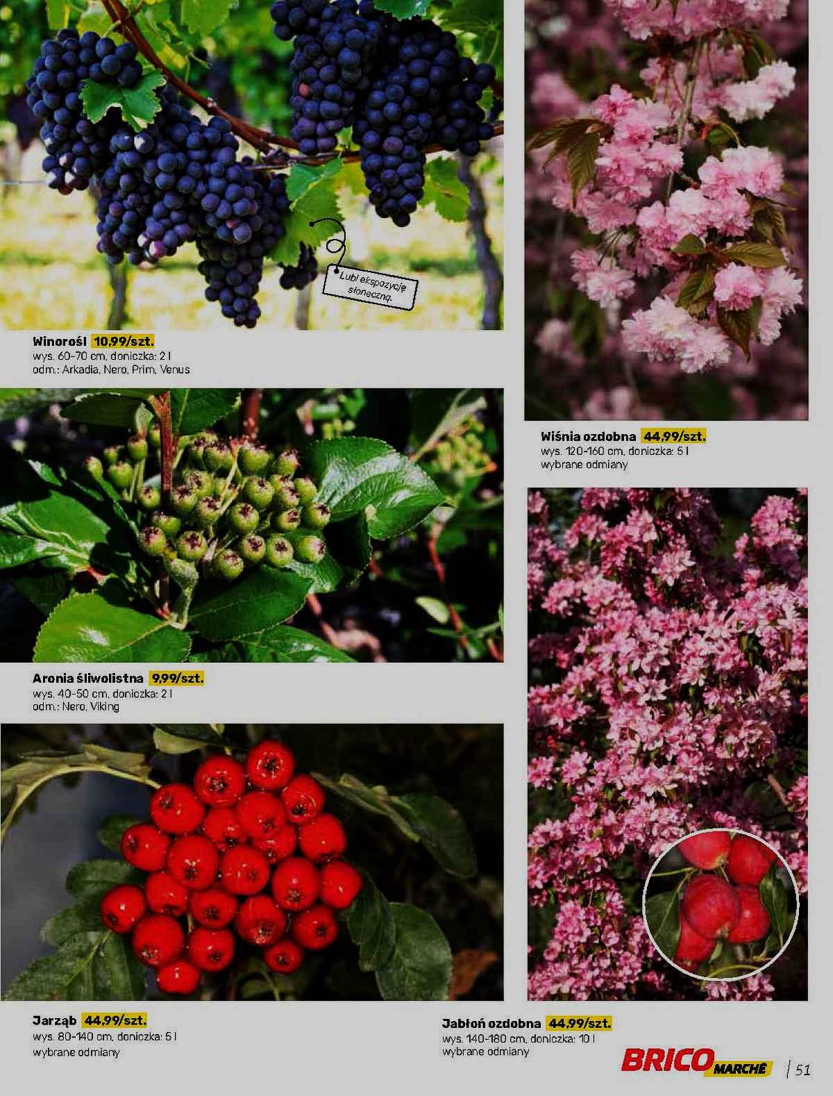 Gazetka promocyjna Bricomarche str. 51