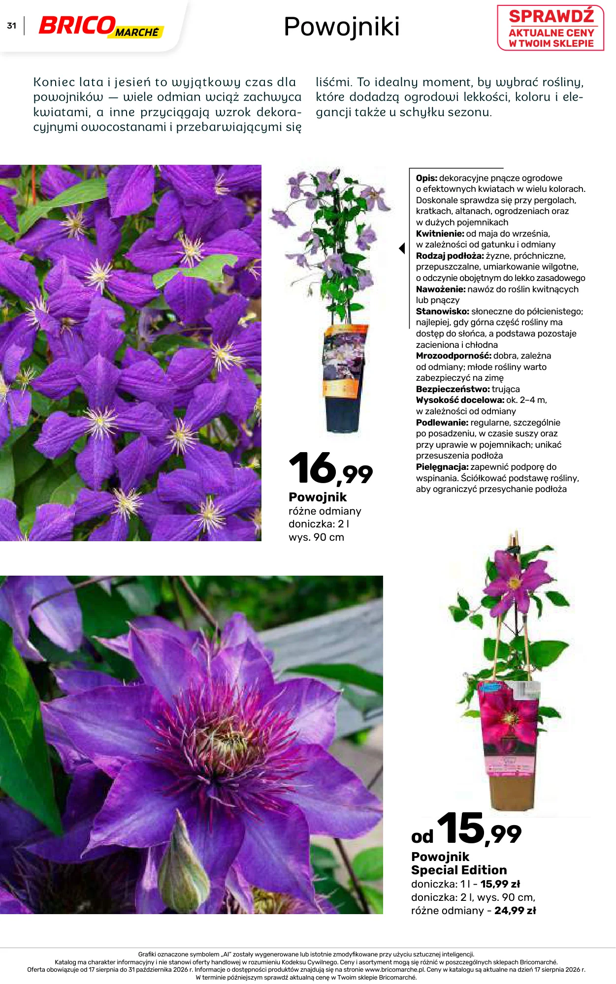 Gazetka promocyjna Bricomarche str. 31