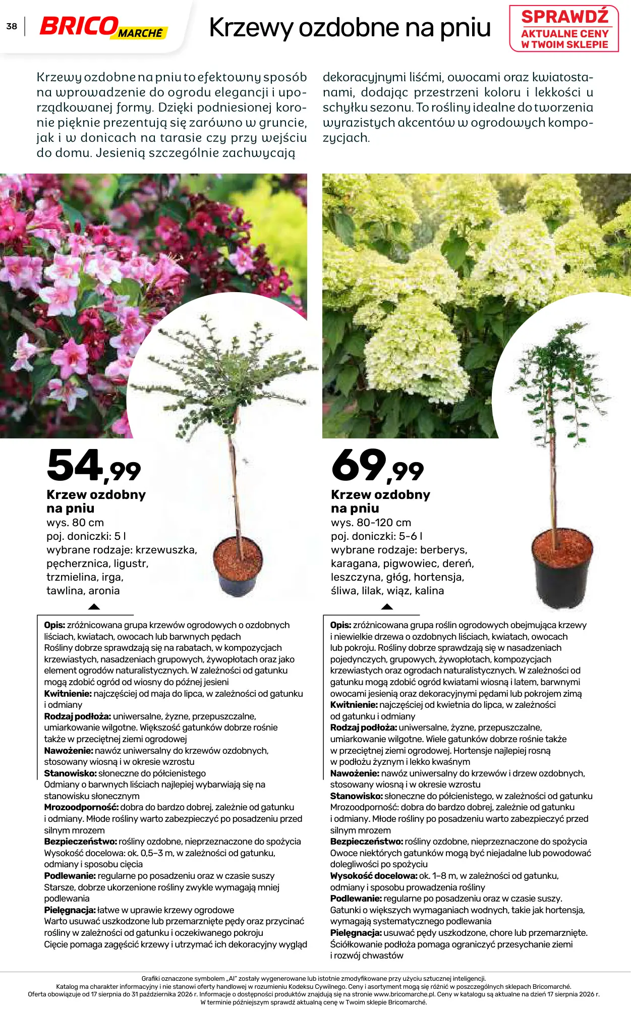 Gazetka promocyjna Bricomarche str. 38