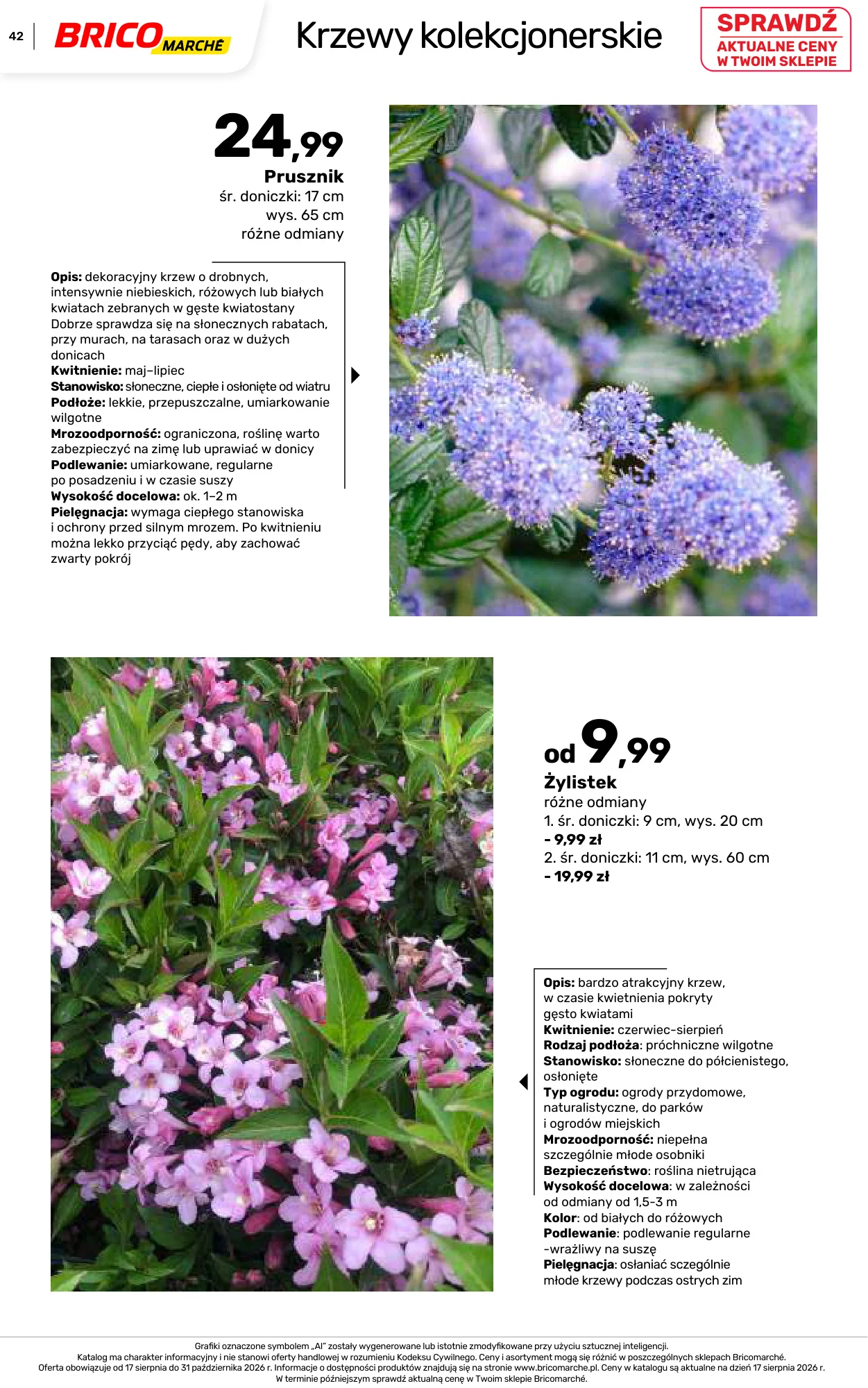 Gazetka promocyjna Bricomarche str. 42