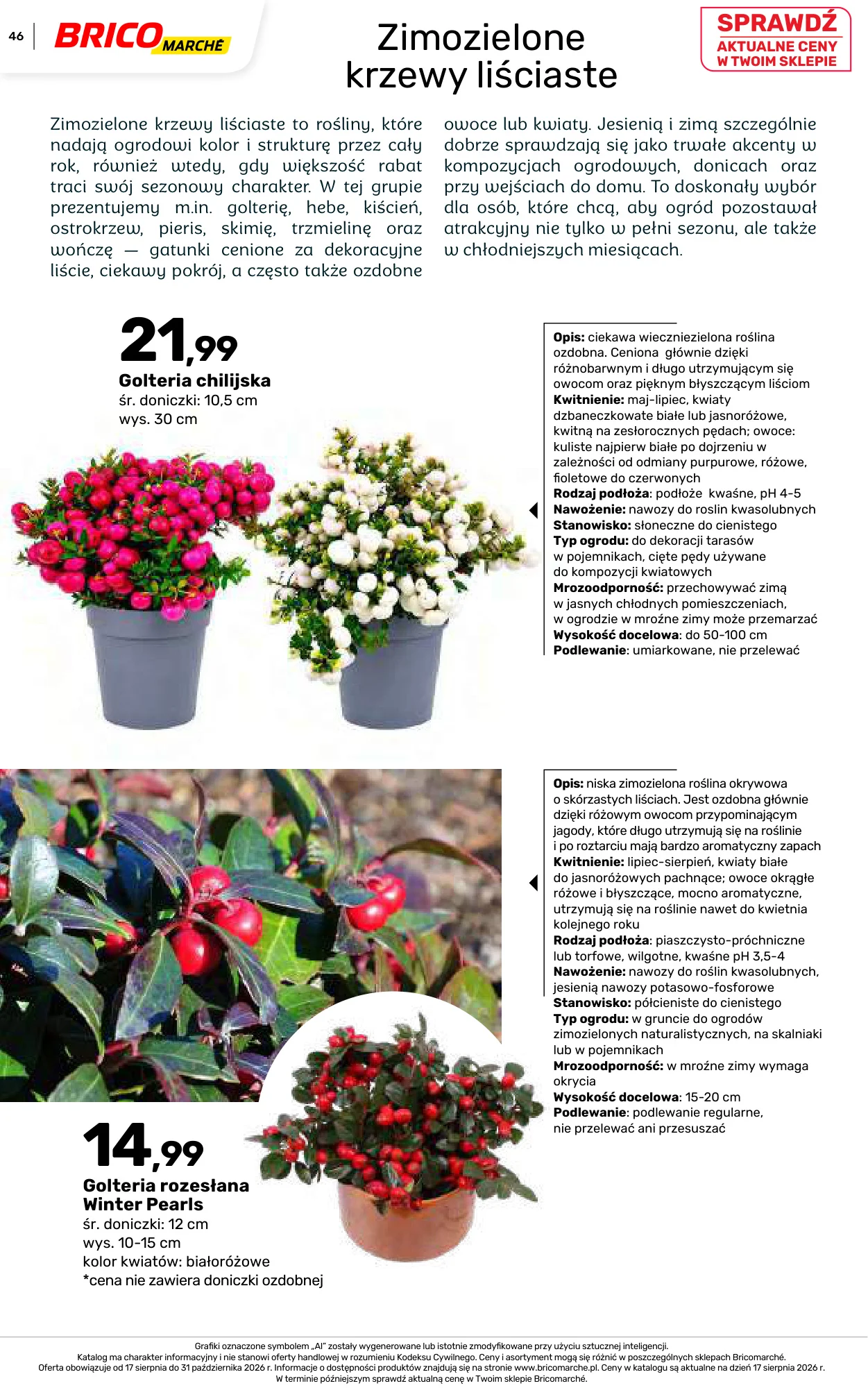 Gazetka promocyjna Bricomarche str. 46