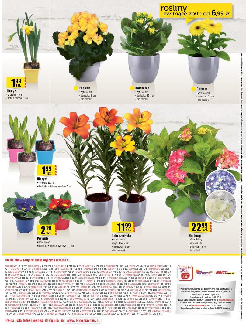 Gazetka promocyjna Bricomarche str. 12