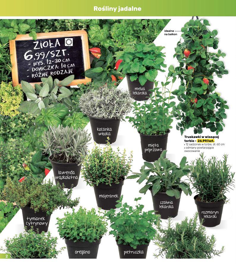 Gazetka promocyjna Bricomarche str. 2