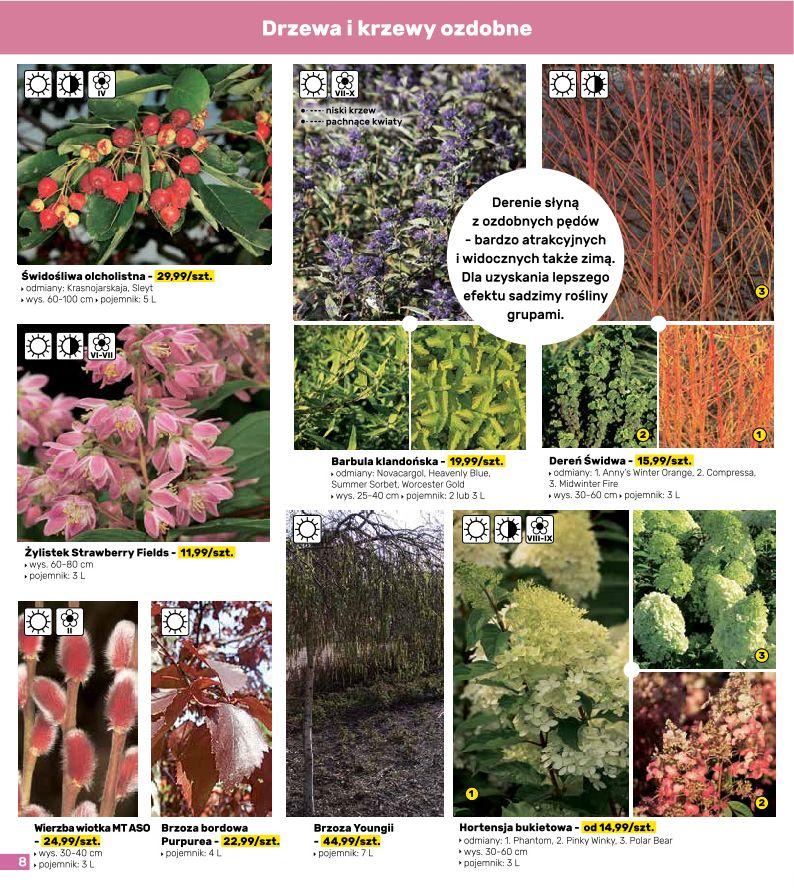 Gazetka promocyjna Bricomarche str. 8